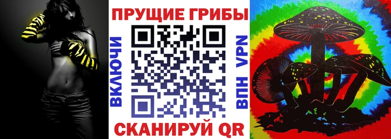 Псилоцибиновые грибы Cubensis  Братск 