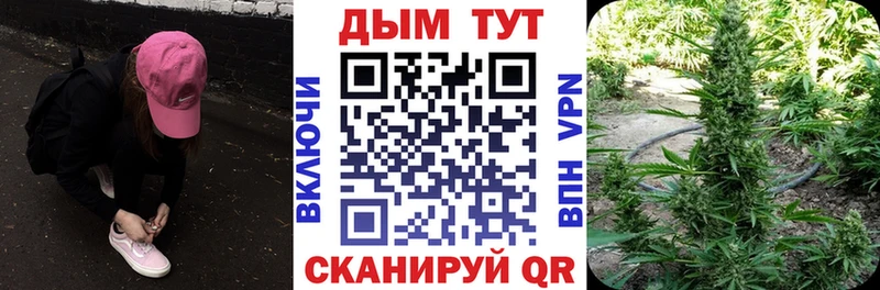 Бошки Шишки марихуана  Братск 